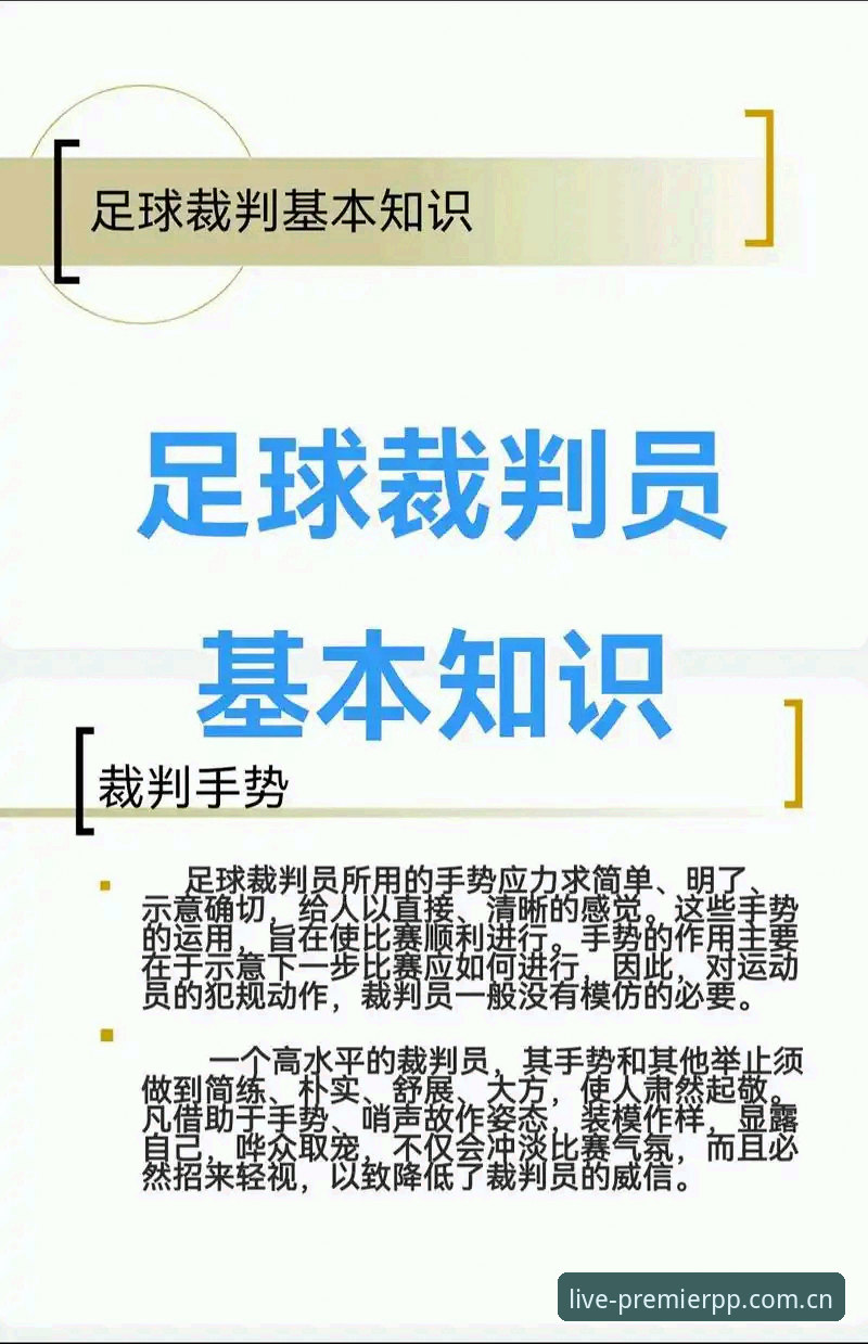 世界杯裁判马宁的“信息清零法”：一个技术评测员的操作教程
